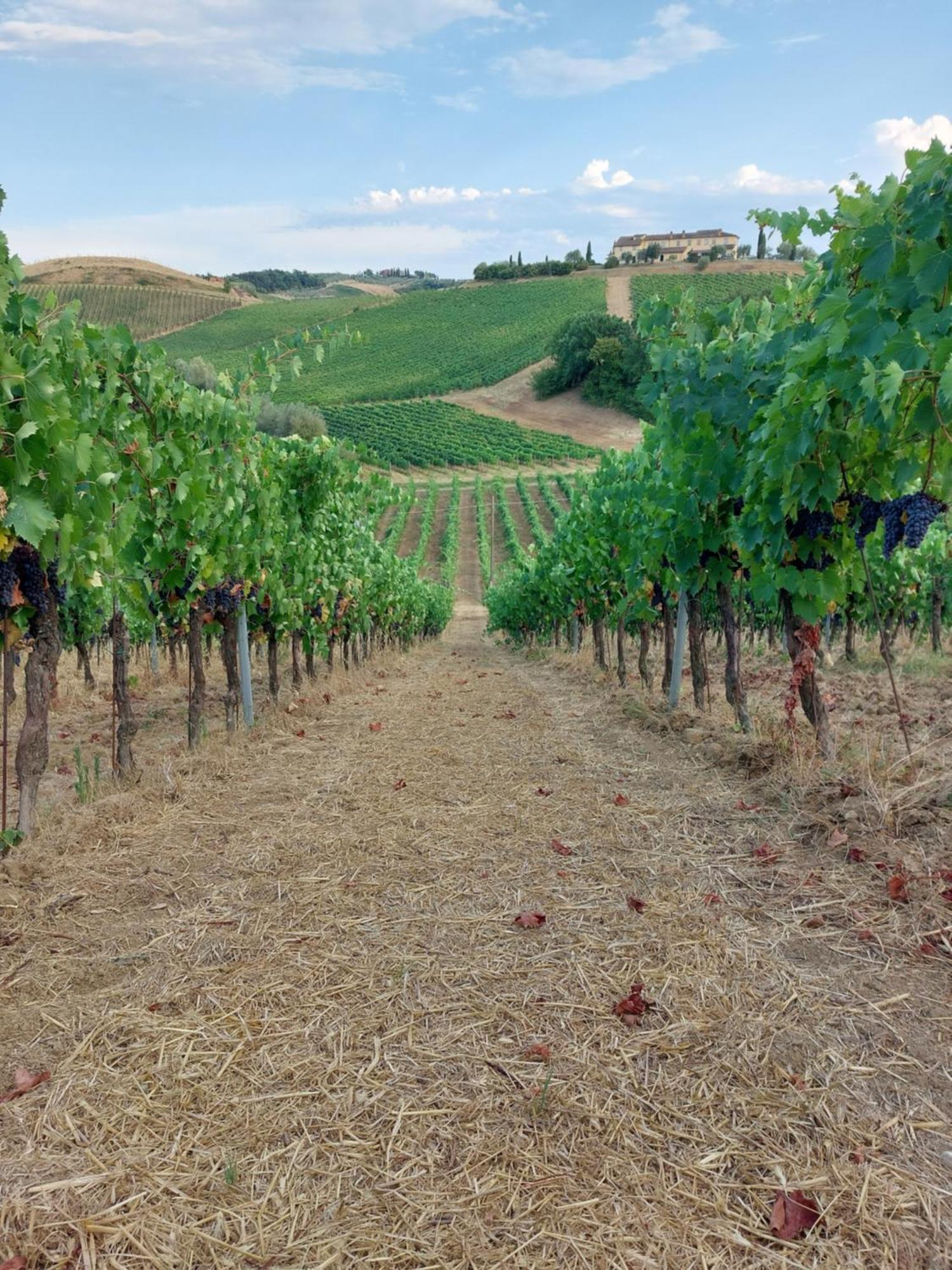 Agriturismo Corte In Poggio Stabbia Zewnętrze zdjęcie