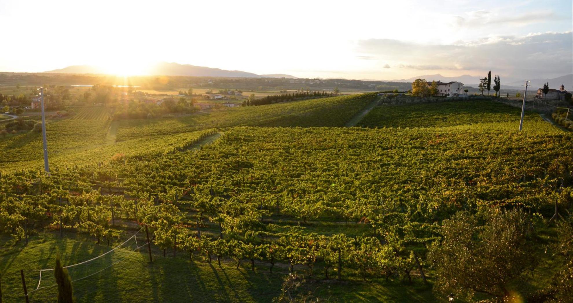 Agriturismo Corte In Poggio Stabbia Zewnętrze zdjęcie