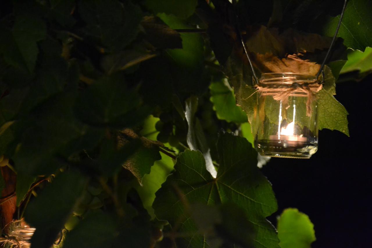Agriturismo Corte In Poggio Stabbia Zewnętrze zdjęcie